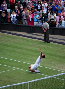 Djokovic wins Wimbledon, by Carine06, CC BY-SA 2.0